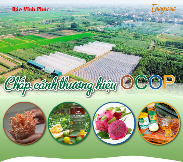 Chắp cánh thương hiệu Ocop